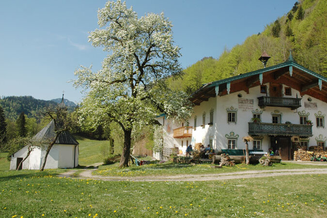 Hasselberger Hof - Sommer Impressionen